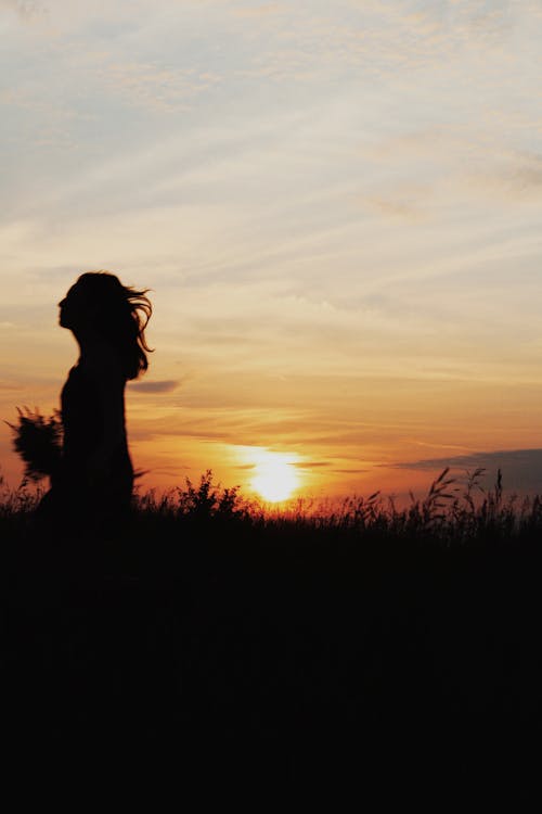 Silhouette of a Woman in a Field