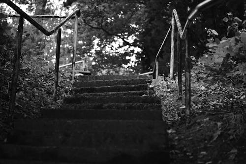 グレースケール, コンクリート階段, モノクロームの無料の写真素材