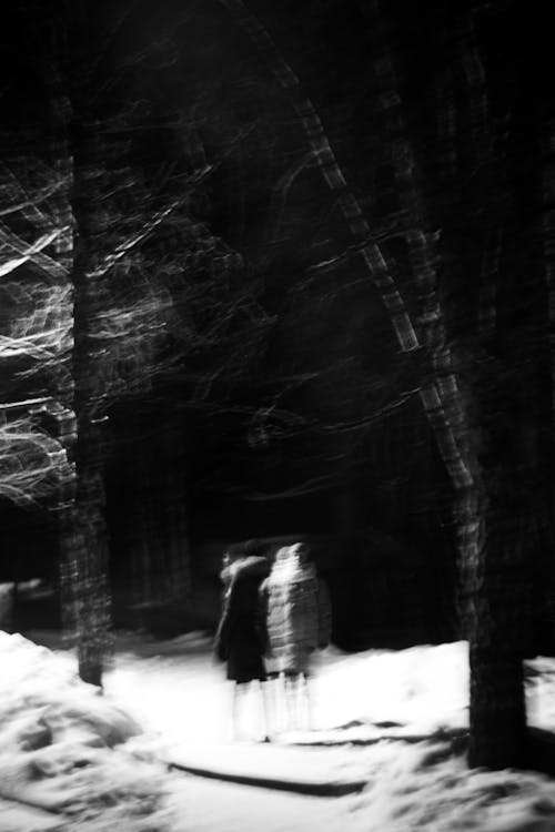 Grayscale Photo of People Standing Near Trees During Winter