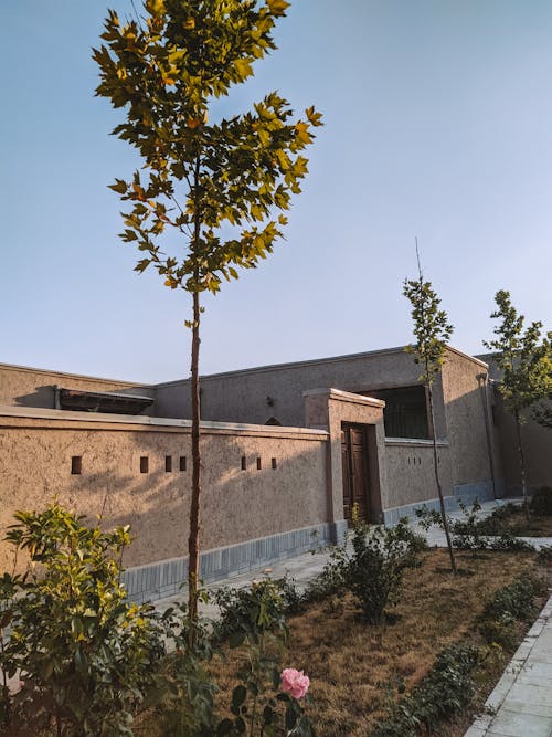 Brown Concrete House with Garden on Frontage