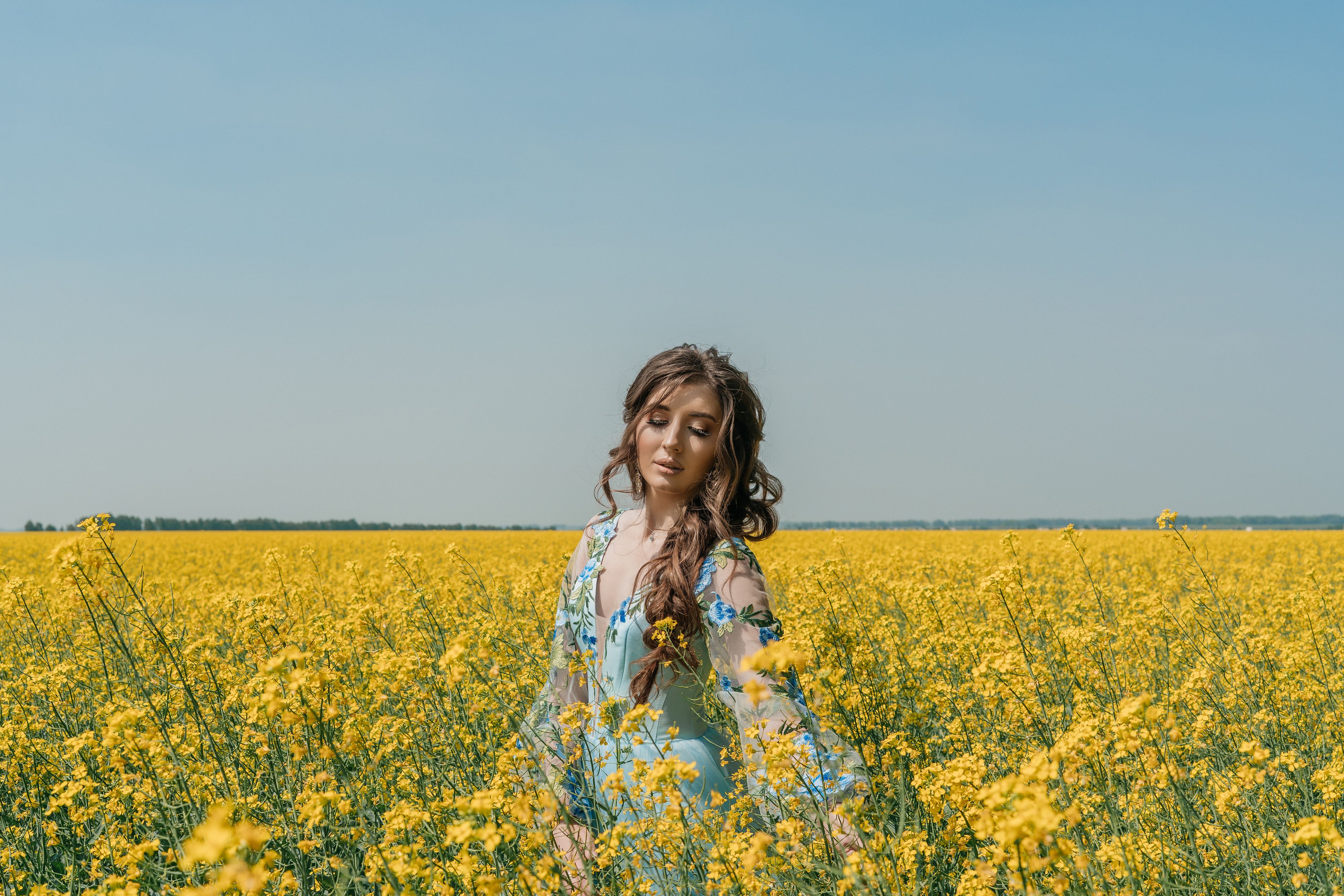 A Pretty Woman Standing on a Field of Yellow Flowers · Free Stock Photo