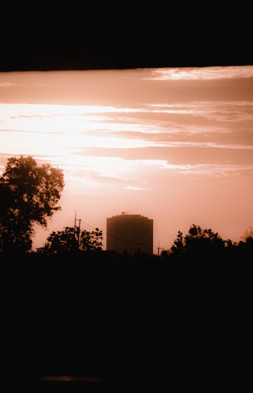 бесплатная Бесплатное стоковое фото с вертикальный выстрел, восход, деревья Стоковое фото