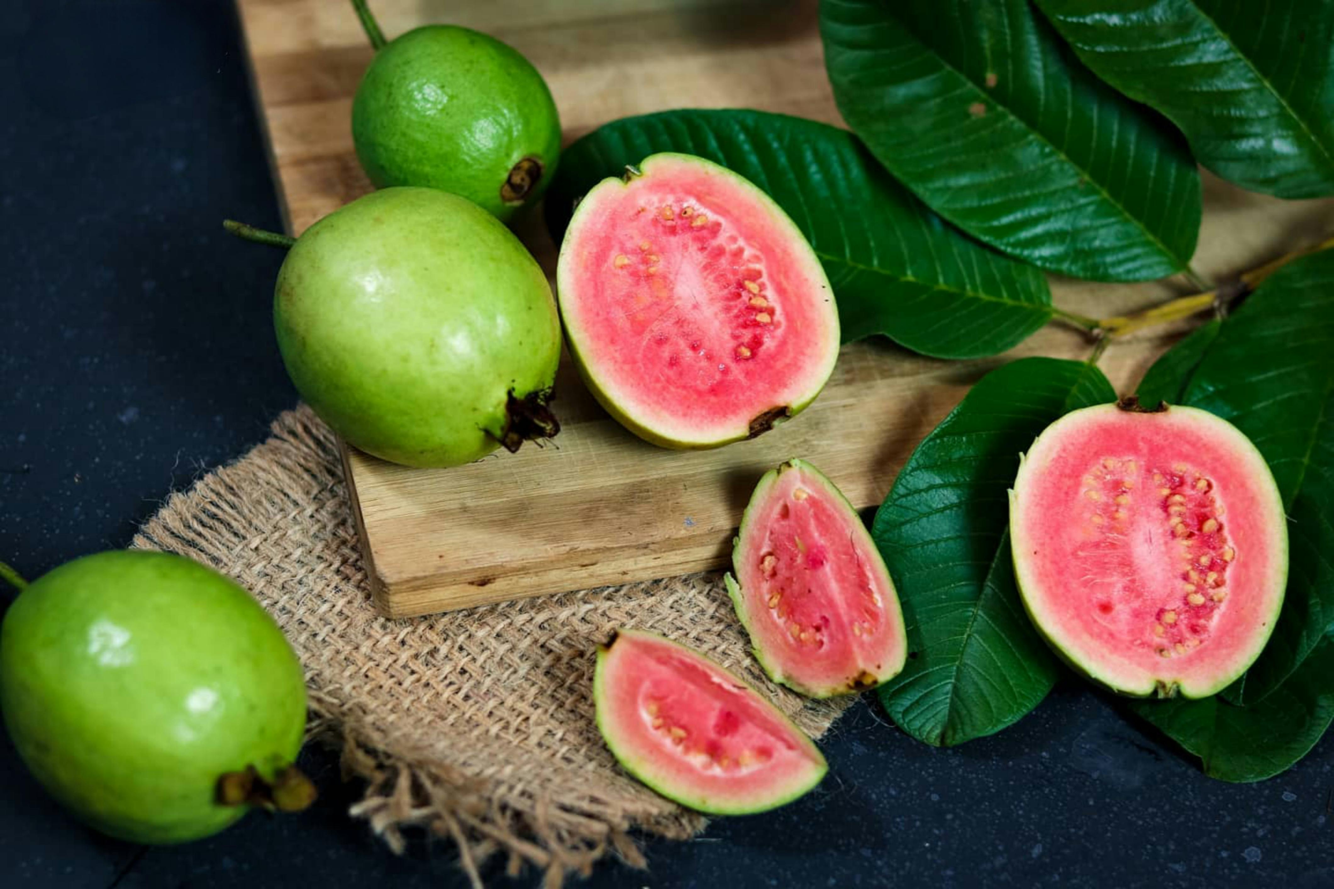 Fresh Guava Fruits On a Tree · Free Stock Photo