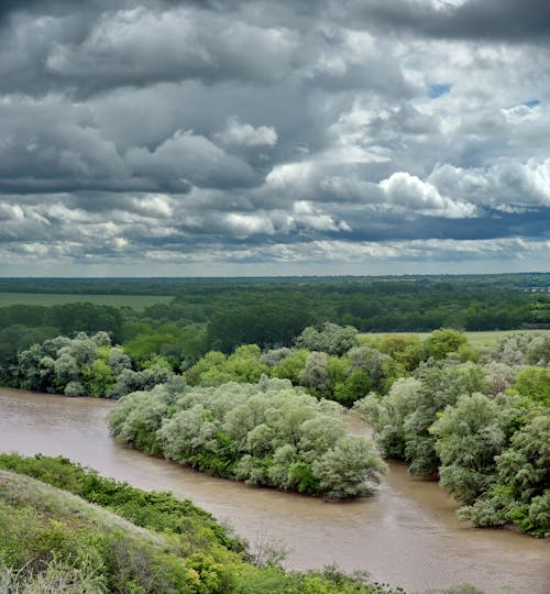 A River between Trees