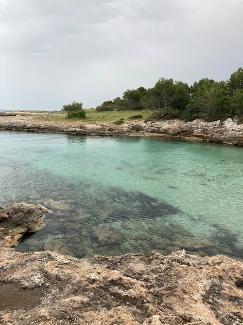 Rocky Coast and Clear Water