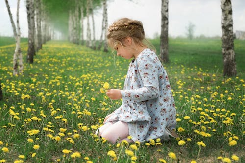 Child Wearing Floral Dress Picking Flowers