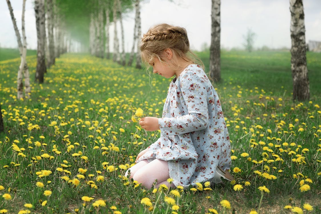 Free A young girl with braided hair sits in a field of yellow flowers, enjoying the springtime nature. Stock Photo