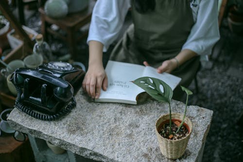 손, 잡고 있는, 전화기의 무료 스톡 사진