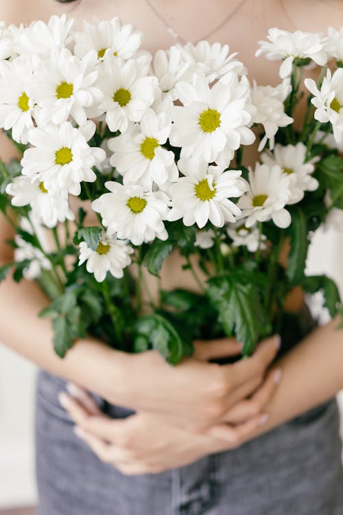 Hoa trắng là biểu tượng của sự trong sáng và tinh khiết. Hãy ngắm nhìn những đóa hoa trắng nở rộ trong ảnh, những cánh hoa mỏng manh nhưng toả ra sức sống và sự thuần khiết. Chúng sẽ đem lại sự bình yên và tĩnh lặng cho bạn.