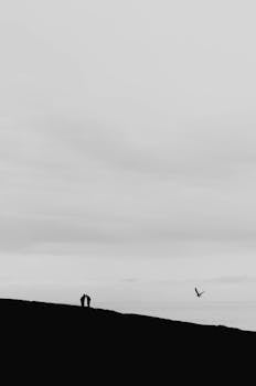 Black and white landscape with bird and silhouetted couple by the coast in Sochi, Russia.