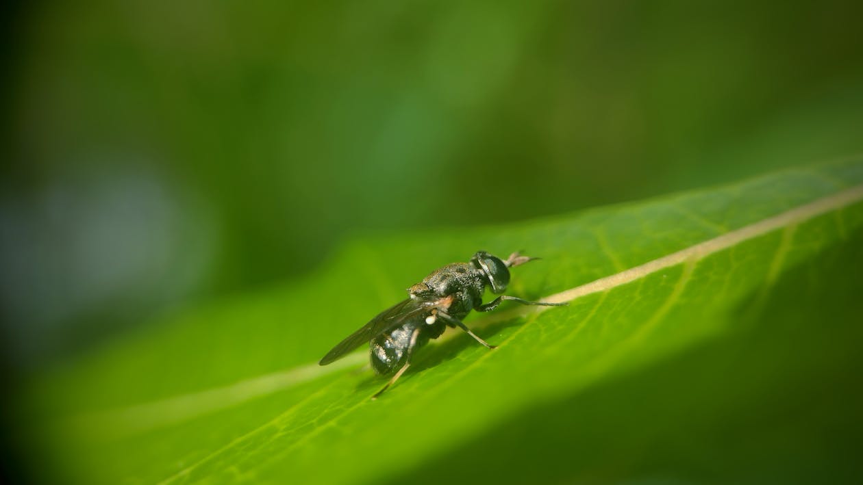 人類基因差異真的只有1%?2025最新研究揭秘真相與未來進化影響 人類基因差異真的只有1%?2025最新研究揭秘真相與未來進化影響