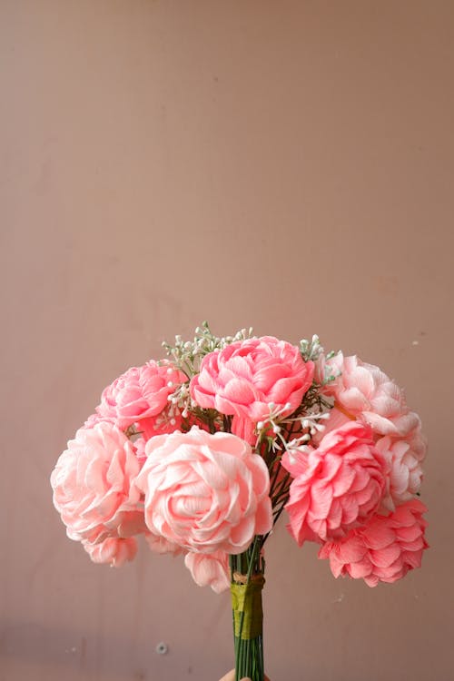 Foto stok gratis bunga-bunga merah muda, flora, halus