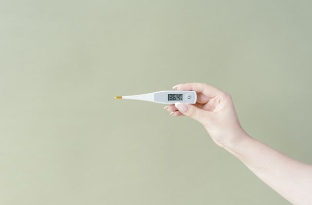 Hand holding a digital thermometer