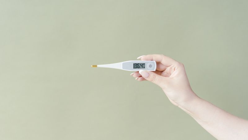 person checking the temperature inside an open refrigerator with a small thermometer