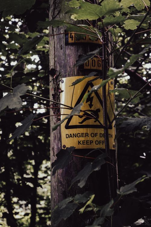 Free A warning sign on a wooden post surrounded by dense foliage, cautioning 'Danger of Death' in Tavistock, England. Stock Photo