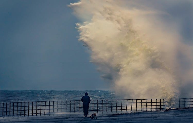 Person Watching Wave Crash Onto Shore