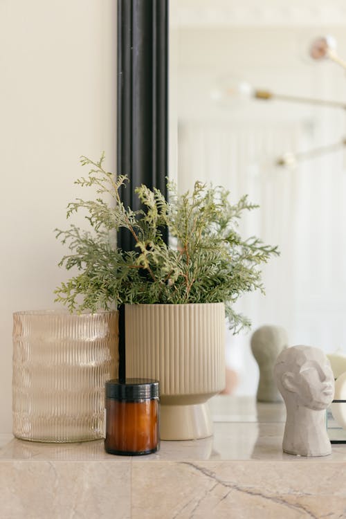 Vase with Green Plants near a Mirror