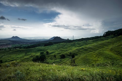 คลังภาพถ่ายฟรี ของ ชนบท, ต้นไม้, ท้องฟ้าครึ้ม