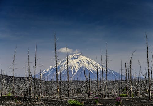 бесплатная Бесплатное стоковое фото с kamchatka, вулкан, вулкан Толбачик Стоковое фото