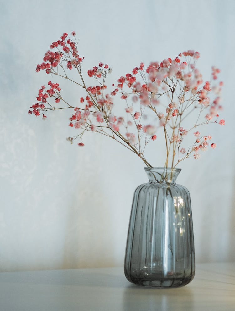 Gypsophila Flowers In Clear Glass Vase