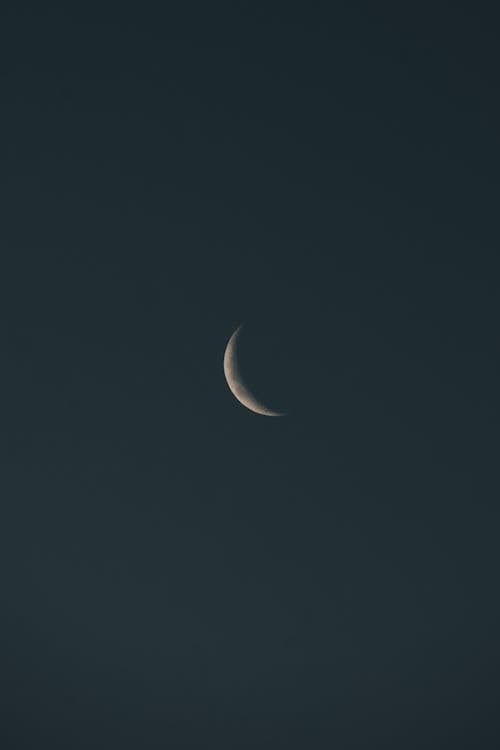 A Crescent Moon in the Night Sky