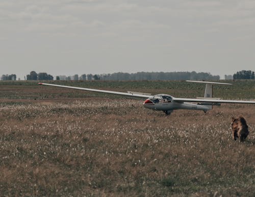 Orlican VSO 10 Aircraft in a Grass Field