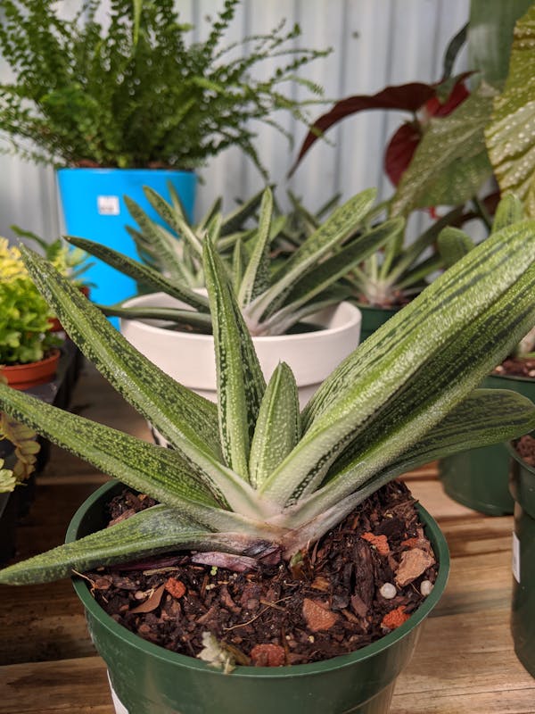 Google DeepMind AI 電影如何重塑 2026 年影視產業:Sundance 首映帶來的革命性影響 Google DeepMind AI 電影如何重塑 2026 年影視產業:Sundance 首映帶來的革命性影響