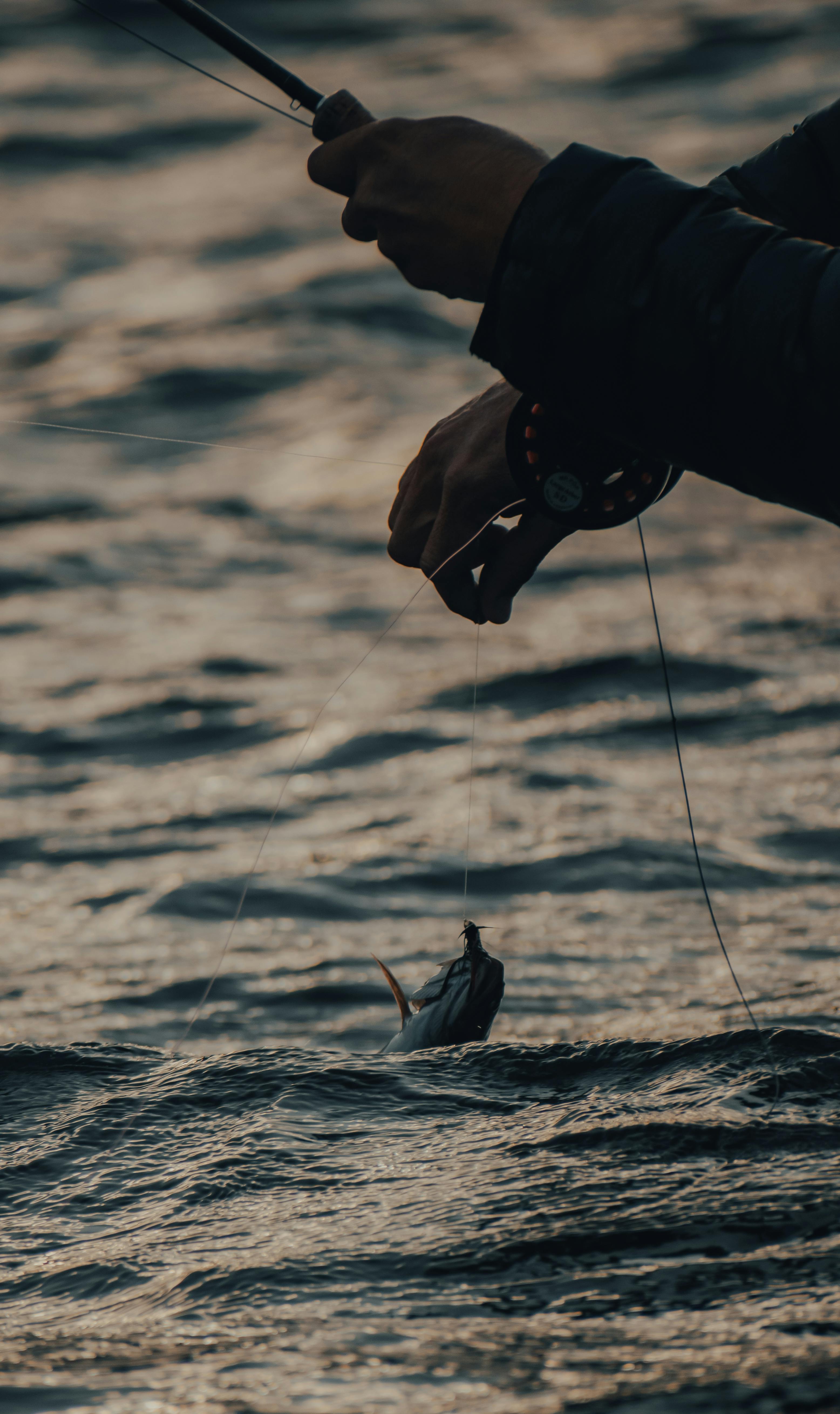 Person Holding Fishing String · Free Stock Photo