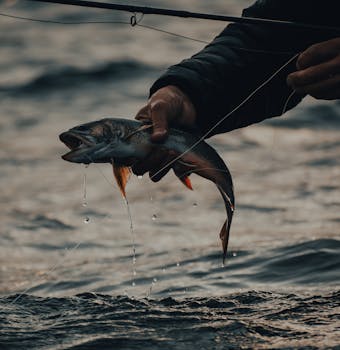 A close-up view of a fish being caught at sunrise, showing water droplets and fishing line.