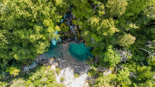 Body of Water Surrounded by Green Trees in Aerial Photography