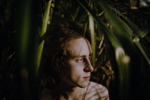 Free Young adult in thoughtful pose surrounded by lush green leaves, creating a serene nature scene. Stock Photo