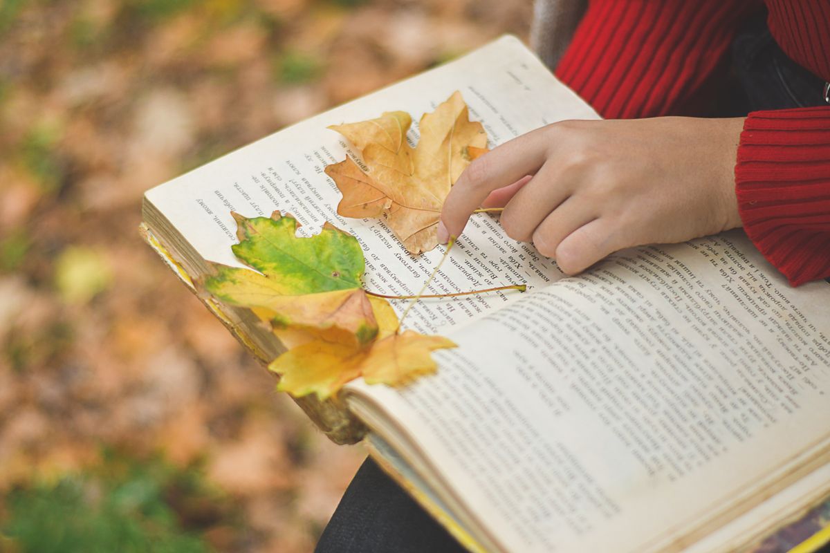 Hand pointing at an open book with autumn leaves scattered across its pages