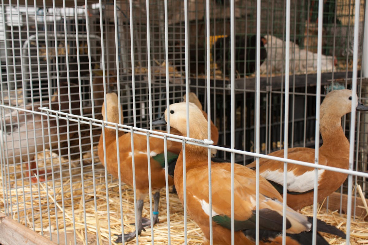 DNA技術如何在2026年破解美國無名屍體懸案?從威斯康辛州Joanne Doe案看基因追蹤的未來革命 DNA技術如何在2026年破解美國無名屍體懸案?從威斯康辛州Joanne Doe案看基因追蹤的未來革命