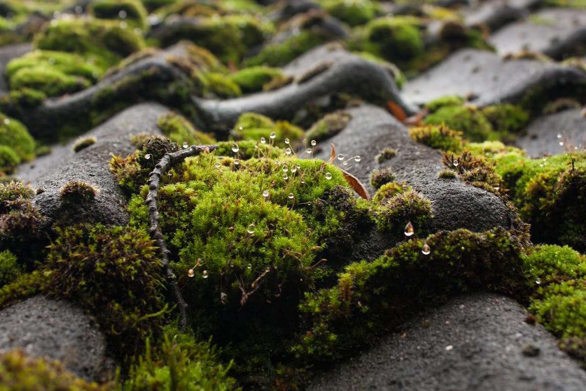 Seakeeper Ride 與 Barletta Boats 聯手革新雙體船穩定系統:2026 年後的航行舒適度將如何翻轉休閒船艇產業? Seakeeper Ride 與 Barletta Boats 聯手革新雙體船穩定系統:2026 年後的航行舒適度將如何翻轉休閒船艇產業?