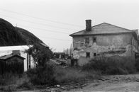 Grayscale Photo of Houses Near Trees