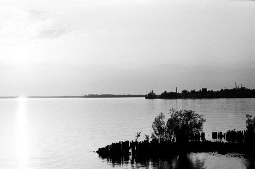 Free Black and white photo capturing a tranquil lakeside scene at dawn with mist and reflections. Stock Photo