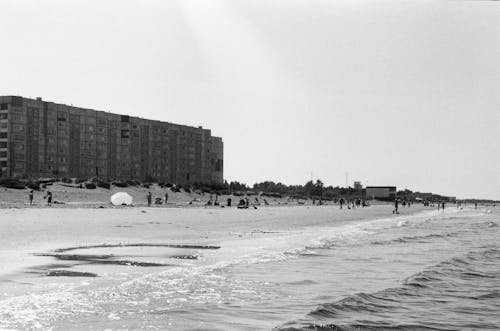 Grayscale Photo of People on the Beach