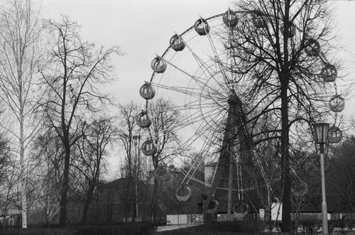Free Black and white photo of a Ferris wheel among leafless trees in a park setting. Stock Photo