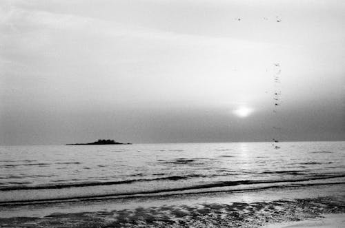 Základová fotografie zdarma na téma černobílý, horizont, mávání