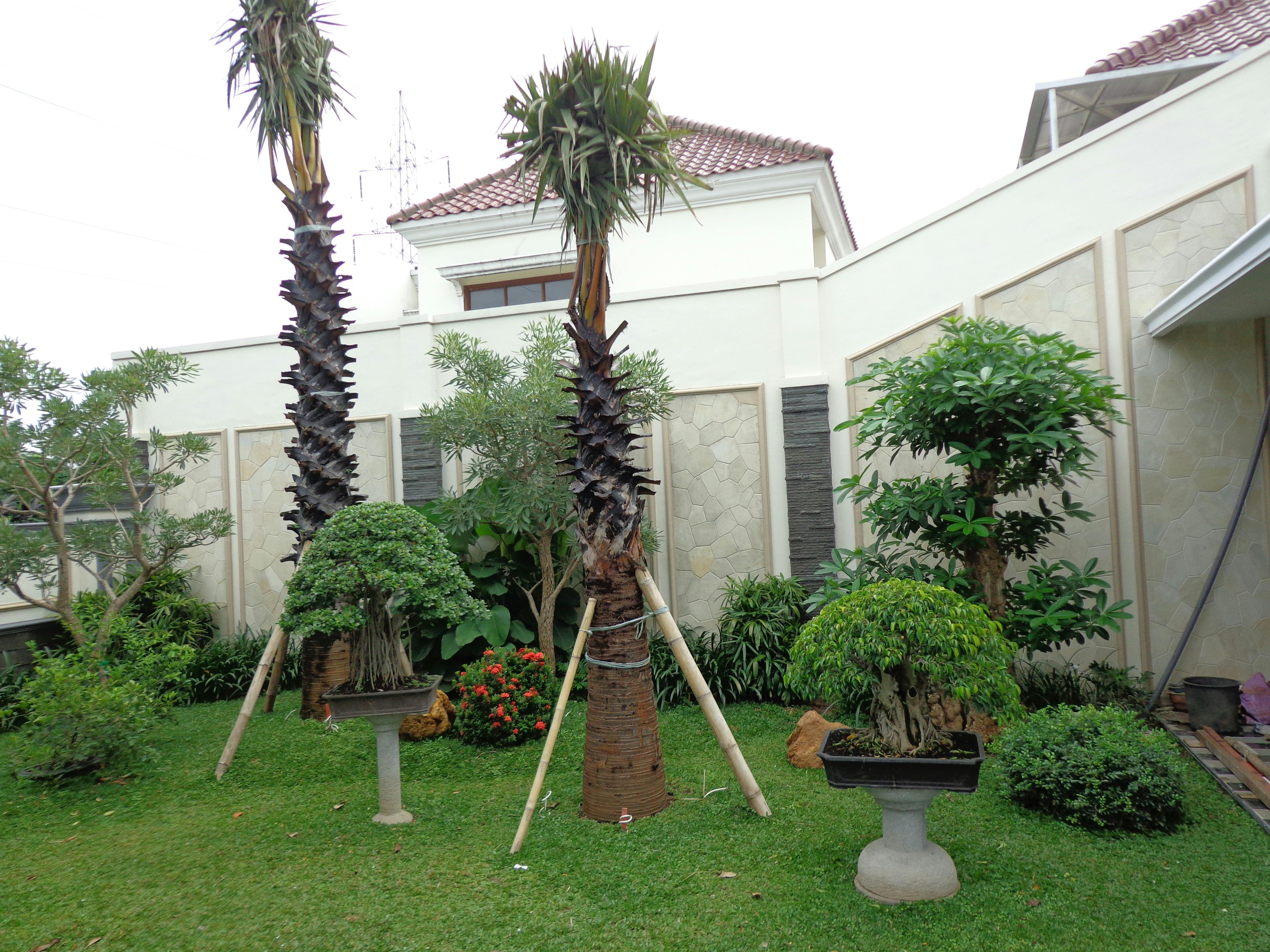 Free stock photo of desain taman surabaya, jasa taman surabaya, jasa