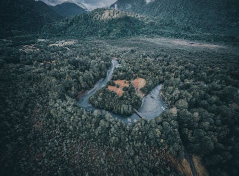 Stunning aerial view of a winding river through dense forest in Hornopirén, Los Lagos, Chile.