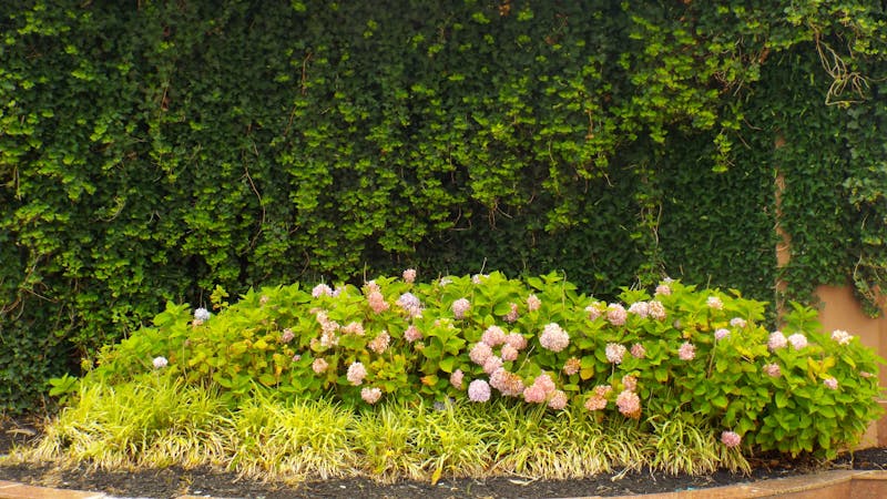 CP Plus 16CH NVR IP Camera System