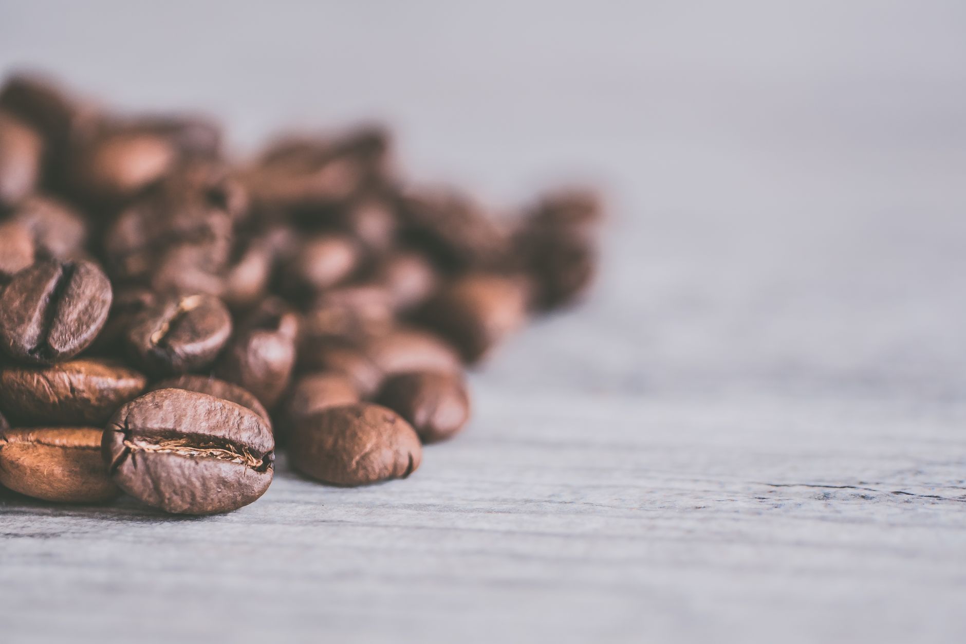 Coffee beans being processed for decaffeination