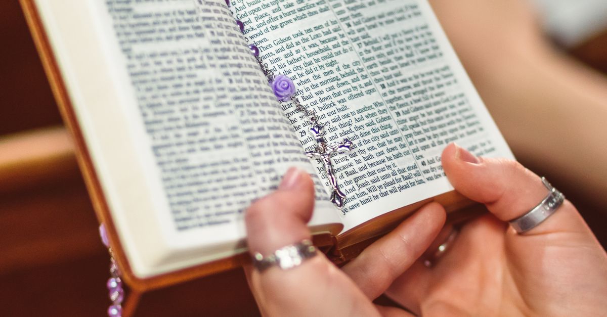 Close up Photo Of An Opened Bible Free Stock Photo close-up-photo-of-an-opened-bible-free-stock-photo