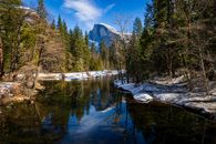 Tall Trees Between a River