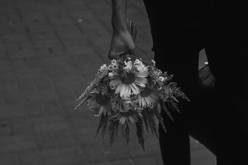 Základová fotografie zdarma na téma jednobarevný, květiny, kytice