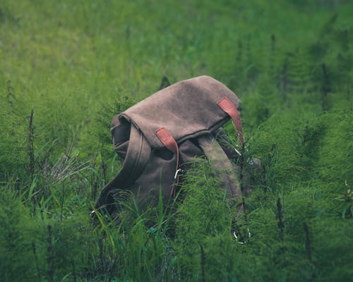 Free stock photo of backpack, grass, grass background Stock Photo