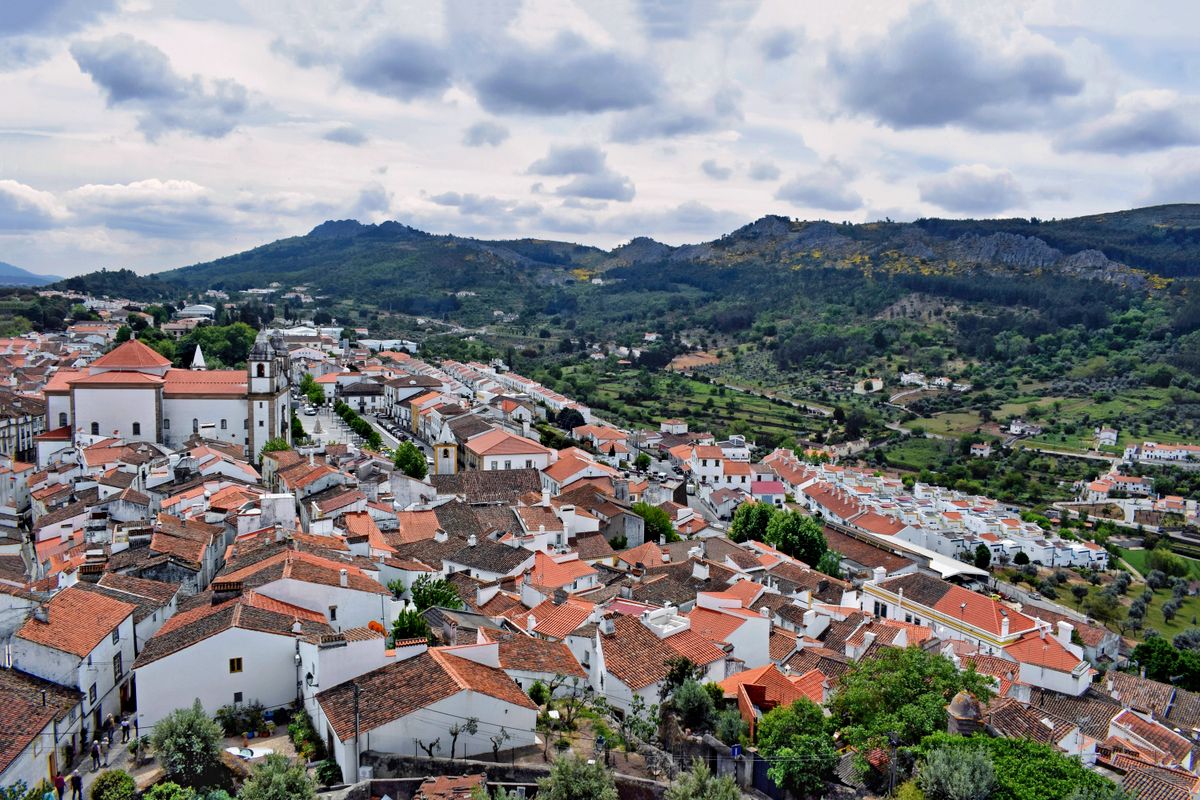 An aerial view of a village beside mountains