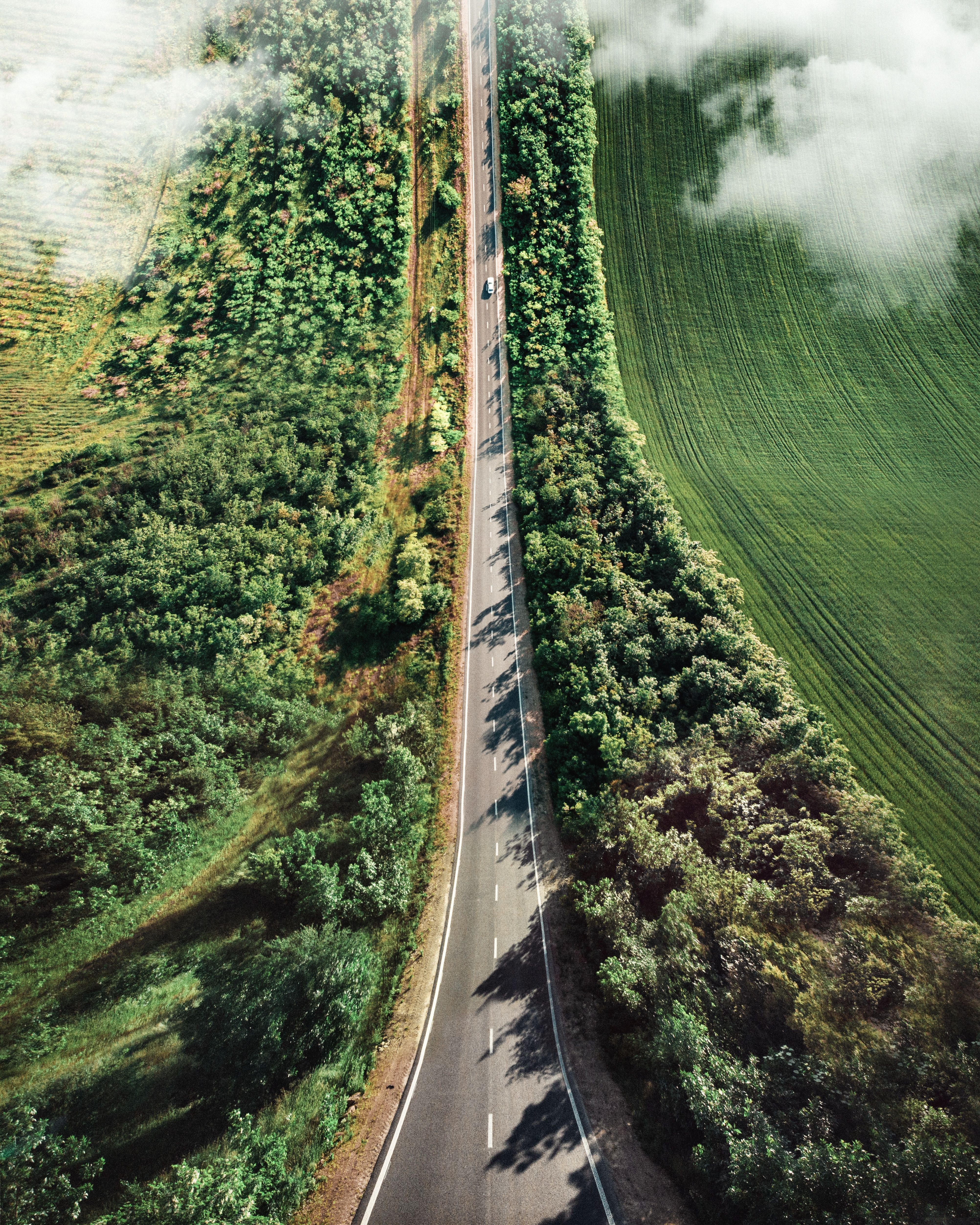 How climate compliance is monitored when data is weak
