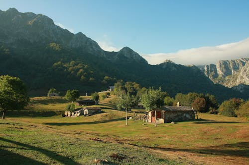 arazi, çim saha, doğa içeren Ücretsiz stok fotoğraf